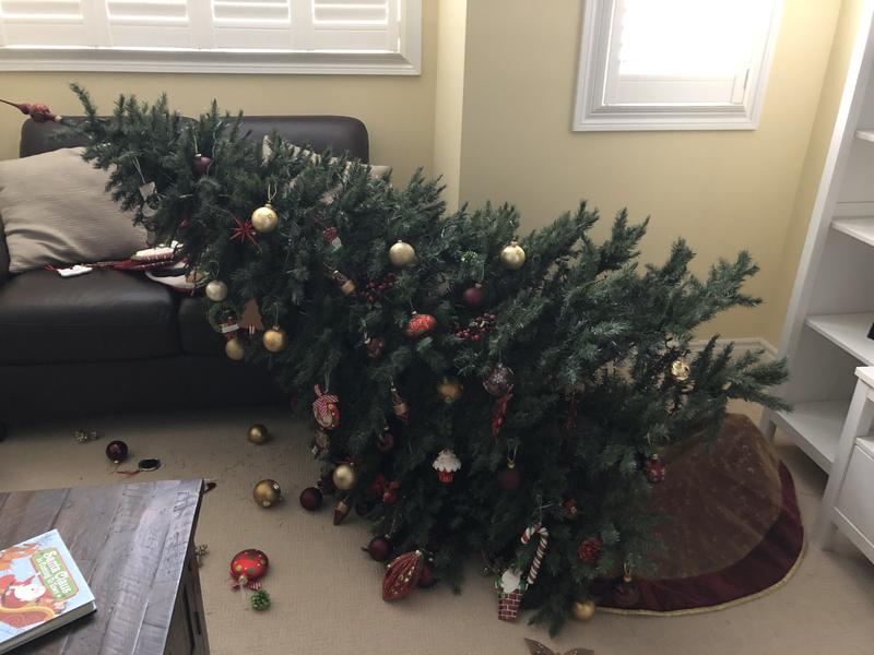 Photo - commentaire&nbsp;4.