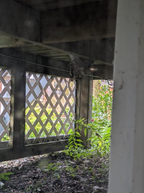 Nest after being sprayed!