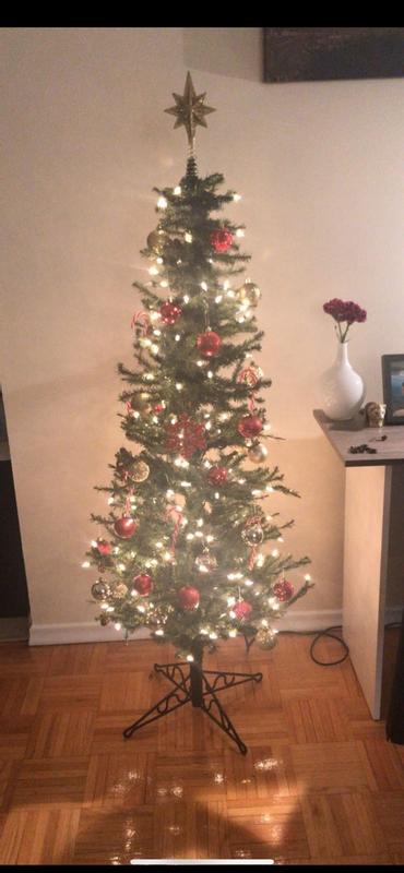 Photo - commentaire 5.