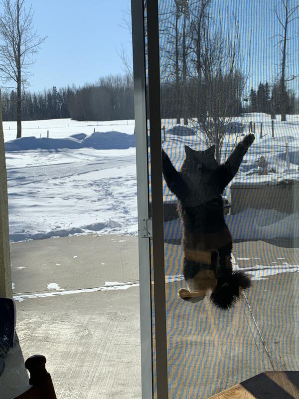 Photo - commentaire&nbsp;1.