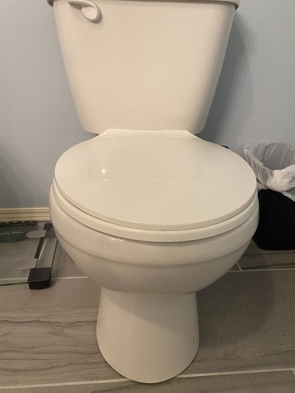 Toilet seat shop reviews