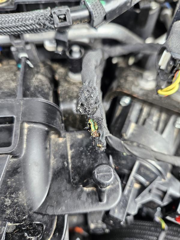 Photo - commentaire&nbsp;1.