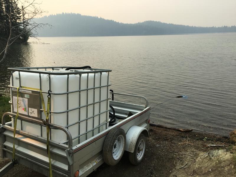 Photo - commentaire 8.