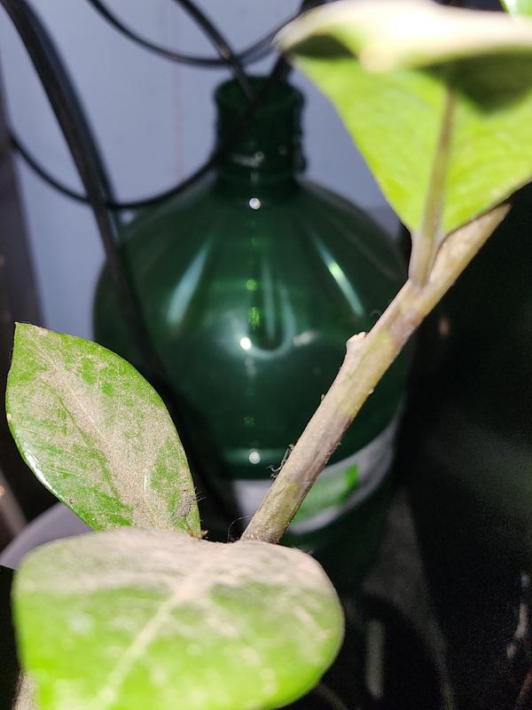 Photo - commentaire&nbsp;1.