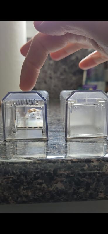 New trap (left) vs used trap that it chewed (right)