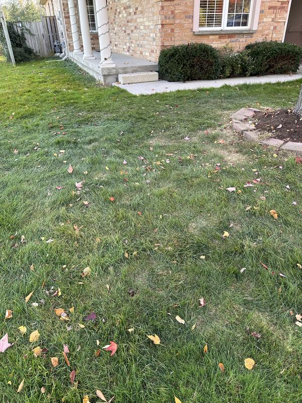 Photo - commentaire 4.