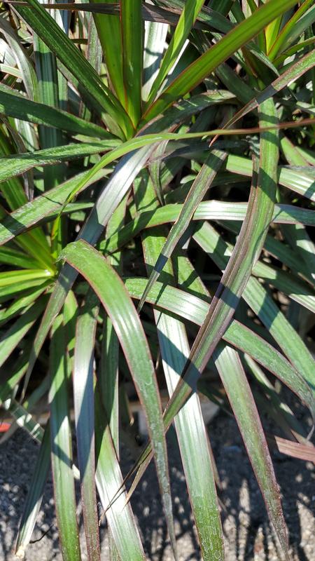 Photo - commentaire&nbsp;1.