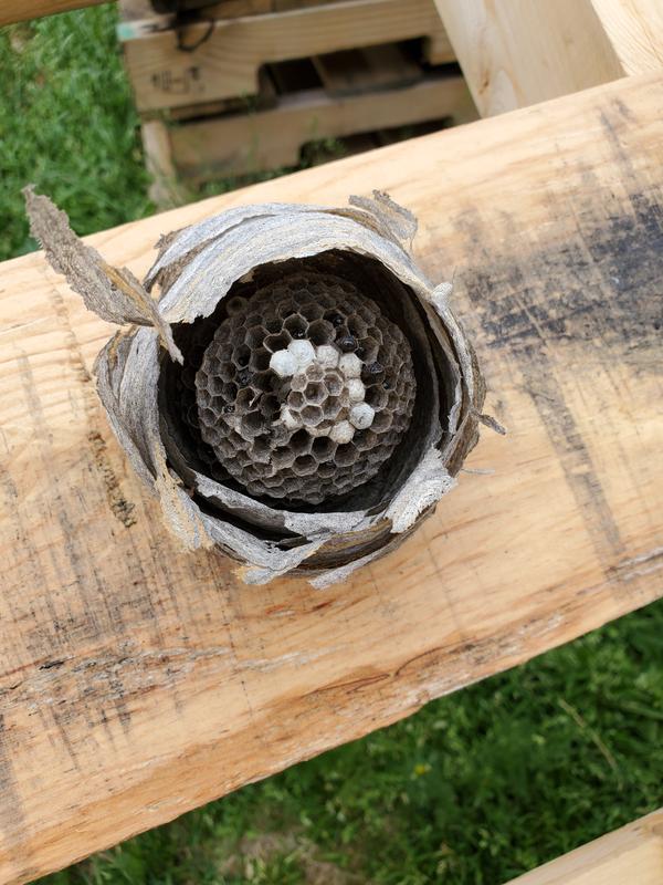 Photo - commentaire&nbsp;1.