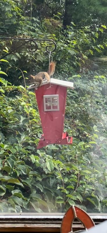 The light weight culprit