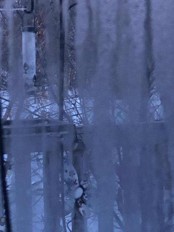 Photo - commentaire&nbsp;4.