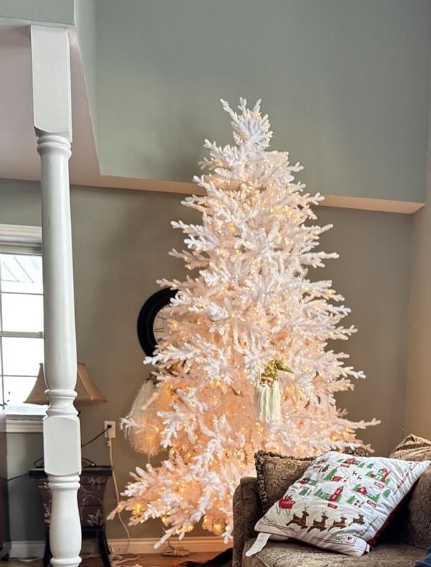 Photo - commentaire&nbsp;1.