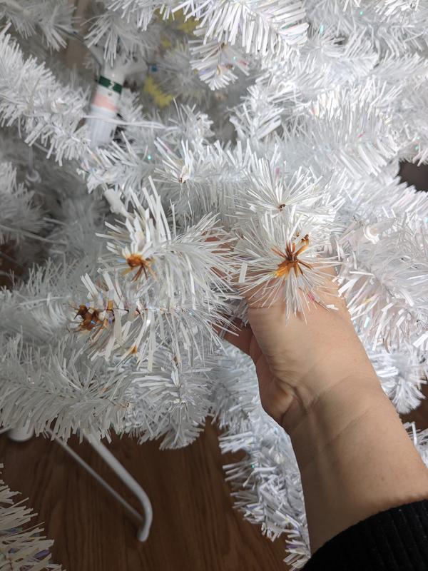 Photo - commentaire 6.