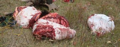 as you can see they could be bigger