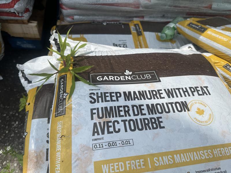 Photo - commentaire 1.