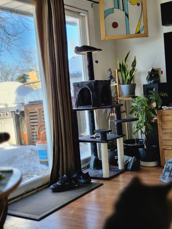 Spying on the squirrels