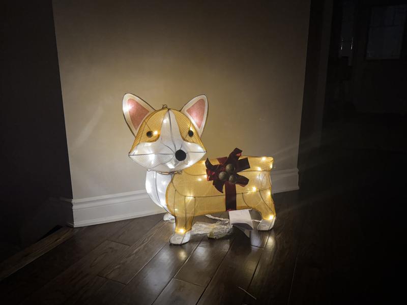 Photo - commentaire 1.