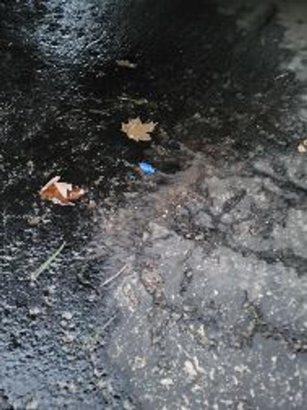 Photo - commentaire&nbsp;3.