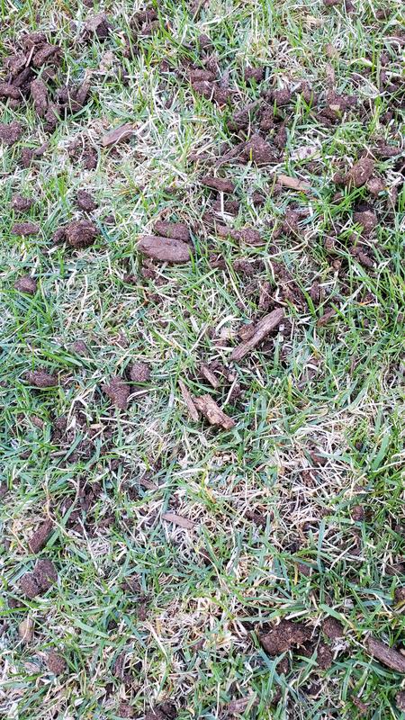 Photo - commentaire&nbsp;1.