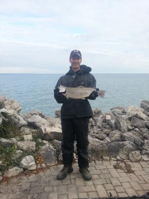 respectable brownie, shimano fb4000