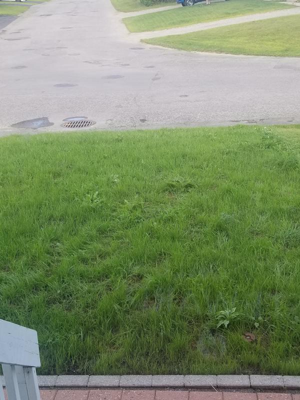 Photo - commentaire&nbsp;7.