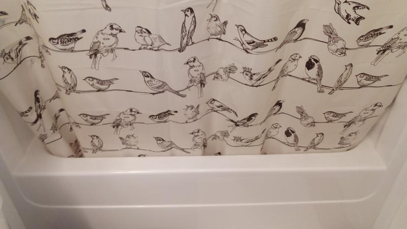 Overview showing curtain in standard use.