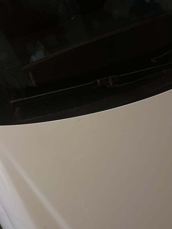 Photo - commentaire 2.