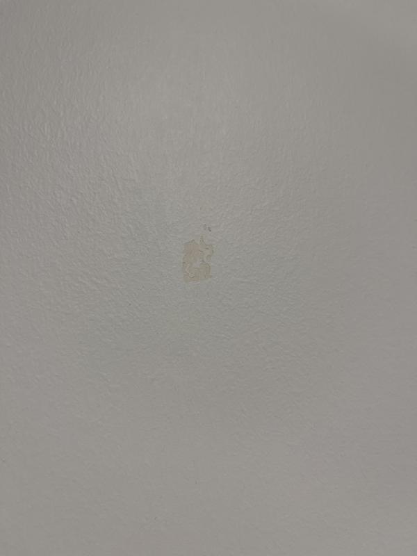 Photo - commentaire 4