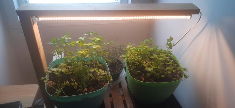 Photo - commentaire&nbsp;4.