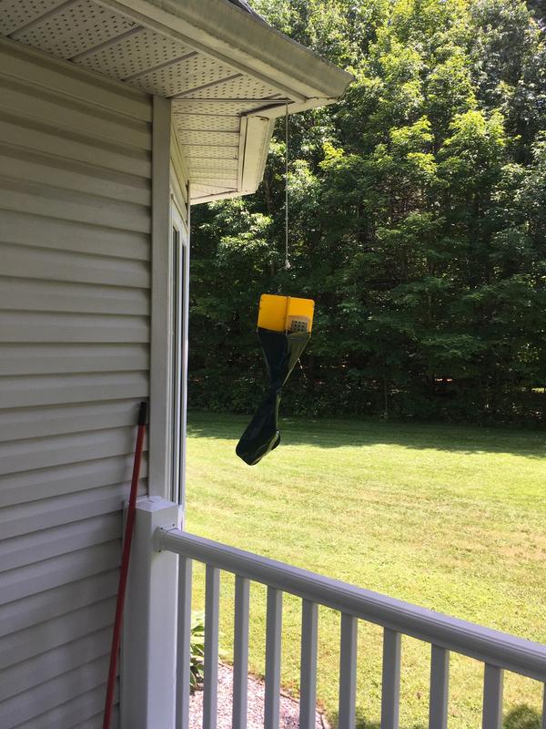 Trap mounted at the Back Porch fo convenient access