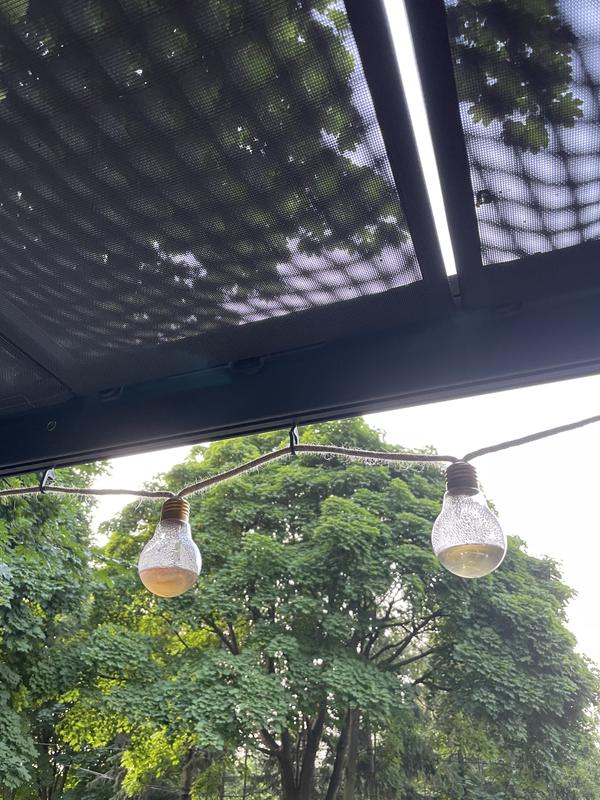 Bulbs fill up with water when it rains!!