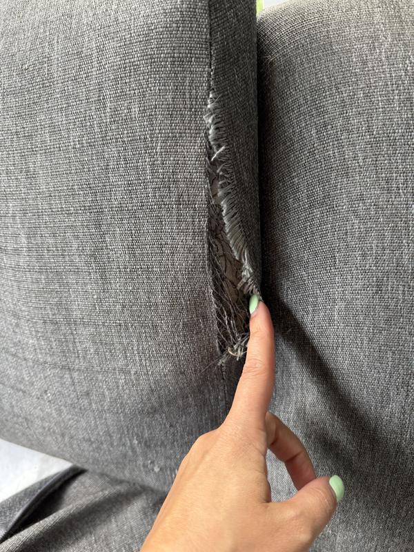 Photo - commentaire 1.