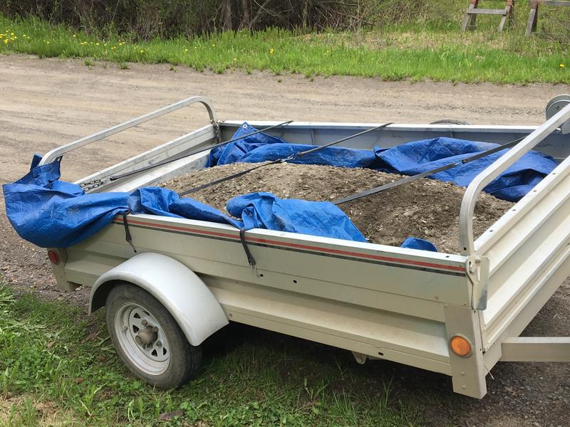 Photo - commentaire 6.