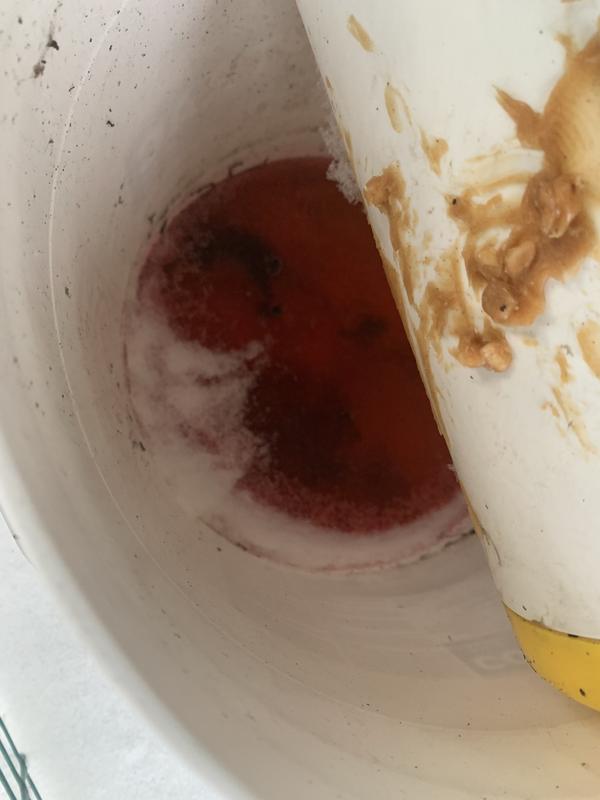 Photo - commentaire 1.