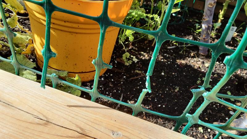 Rodents chew through it