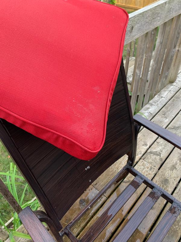 Water logged!  Has not rained in 4 days!