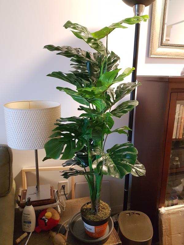 Elle avait l'air de ça, avant que j'ajuste la position des branches.