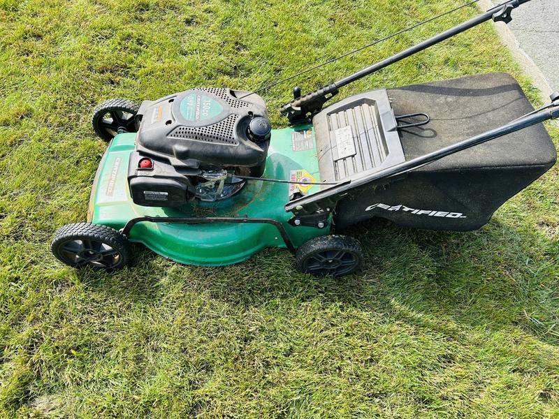 Photo - commentaire 6.