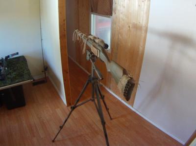 Photo - commentaire&nbsp;2.