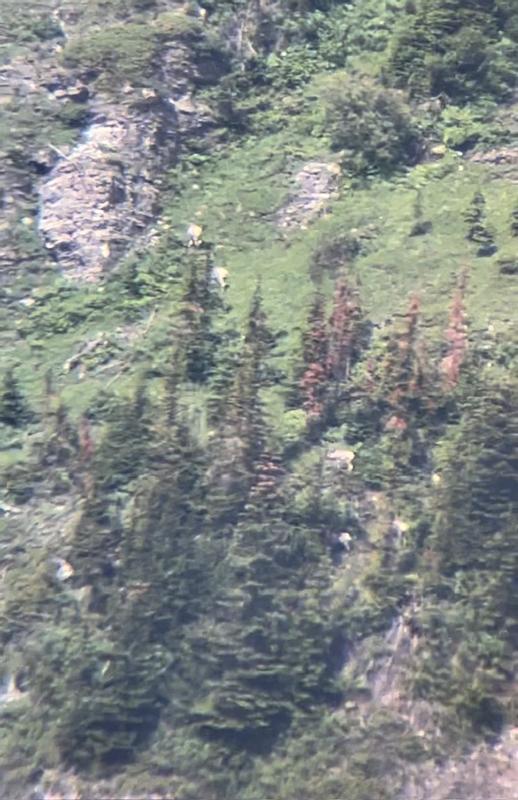 through my phone handheld