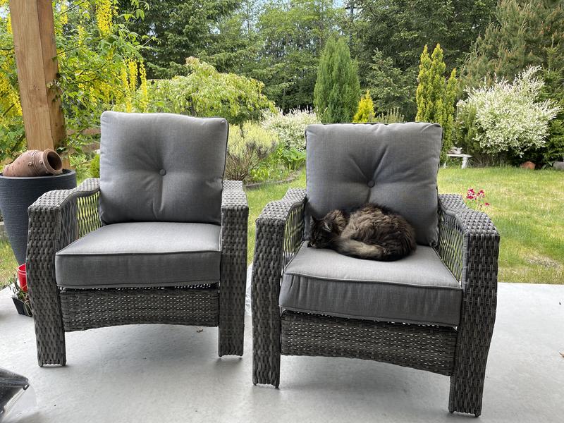 Photo - commentaire 7.