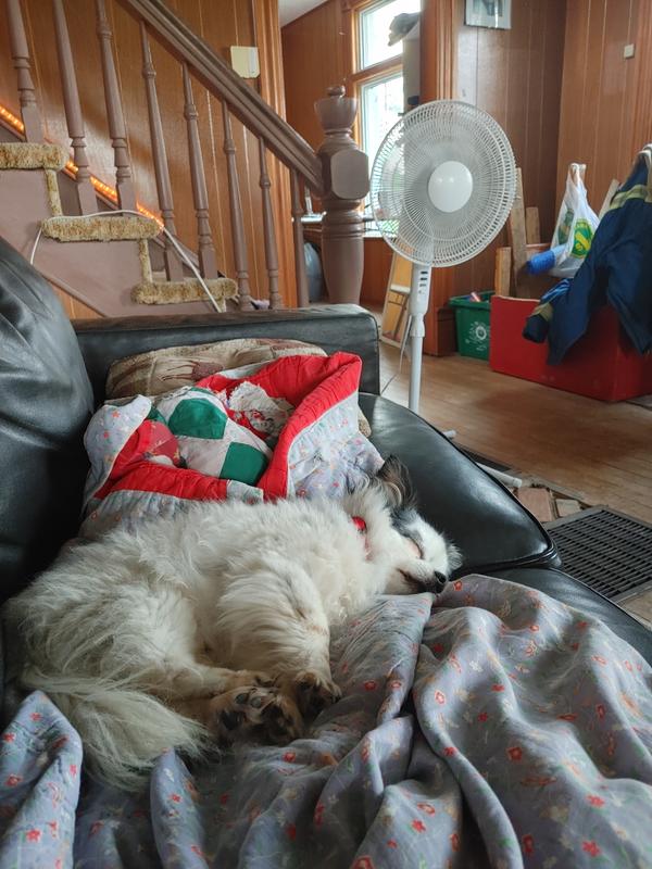 Photo - commentaire&nbsp;1.