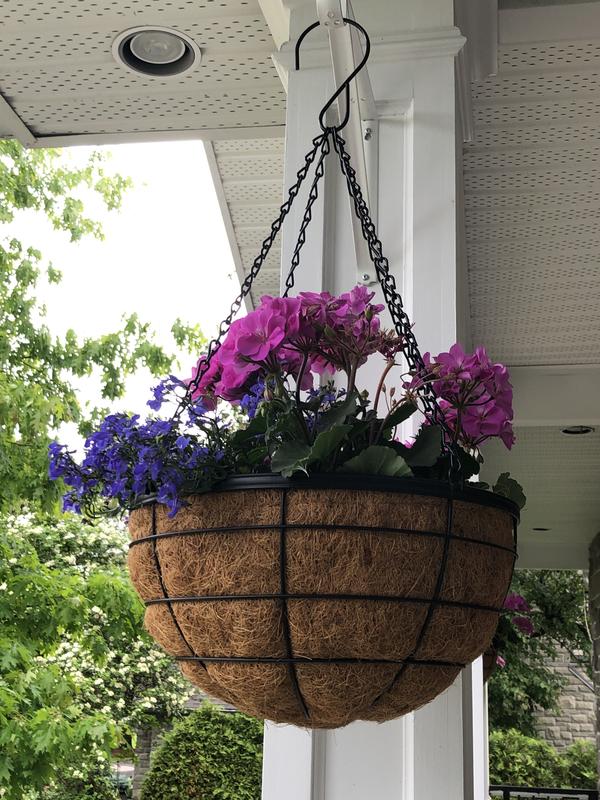 Photo - commentaire&nbsp;3.