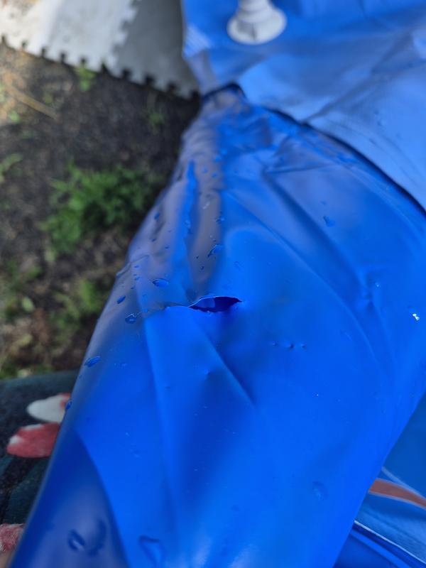 Photo - commentaire 6.