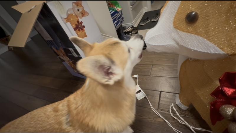 The item was inspected and approved by CorgiCustoms