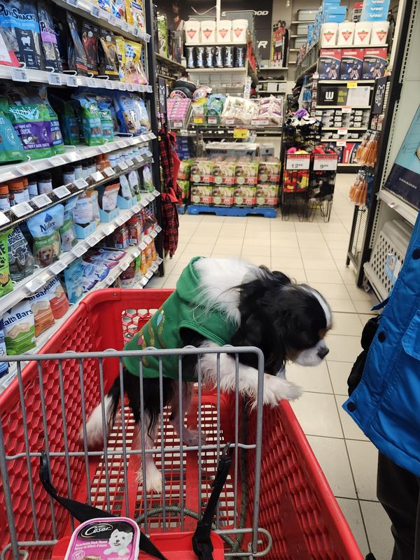 Photo - commentaire 2.