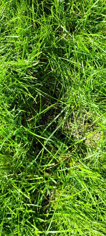 Photo - commentaire&nbsp;8.