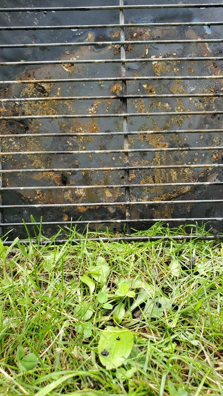 Paint melting off after one BBQ