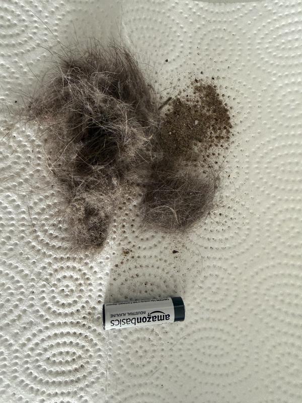 After using Noma with my budget vacuum