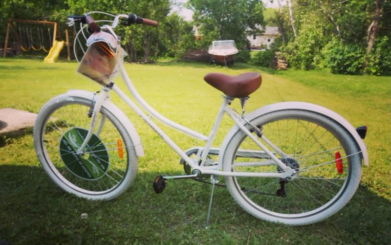 Canadian tire everyday store bike