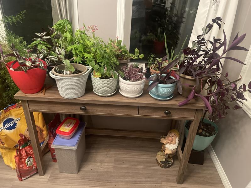 Photo - commentaire 1.